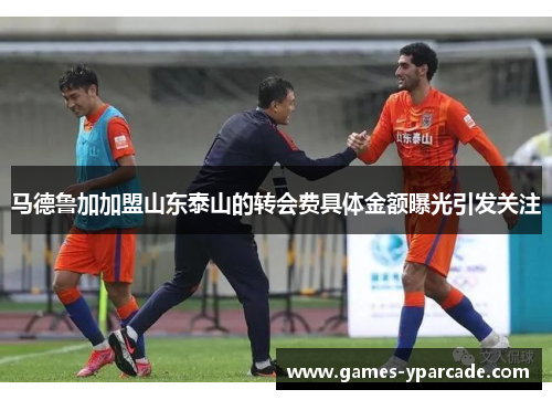 马德鲁加加盟山东泰山的转会费具体金额曝光引发关注