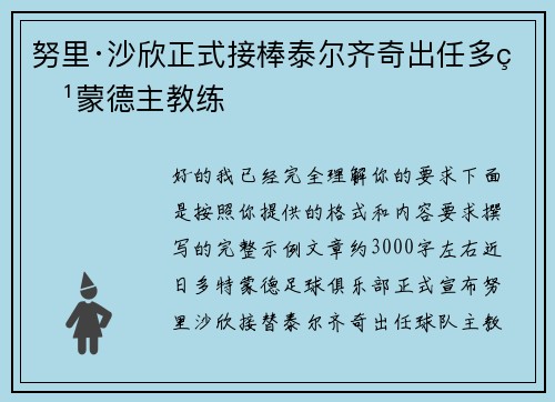 努里·沙欣正式接棒泰尔齐奇出任多特蒙德主教练